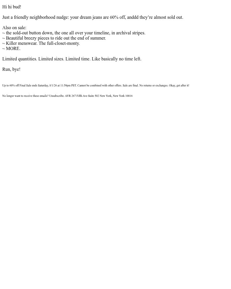 Screenshot of email sent to a AYR Newsletter subscriber