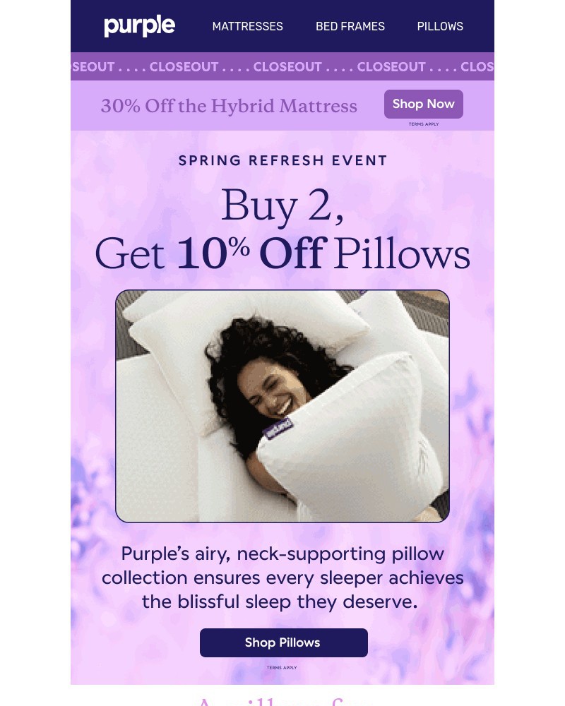 Screenshot of email with subject /media/emails/buy-2-get-10-off-pillows-upgrade-now-858696-cropped-93487375.jpg