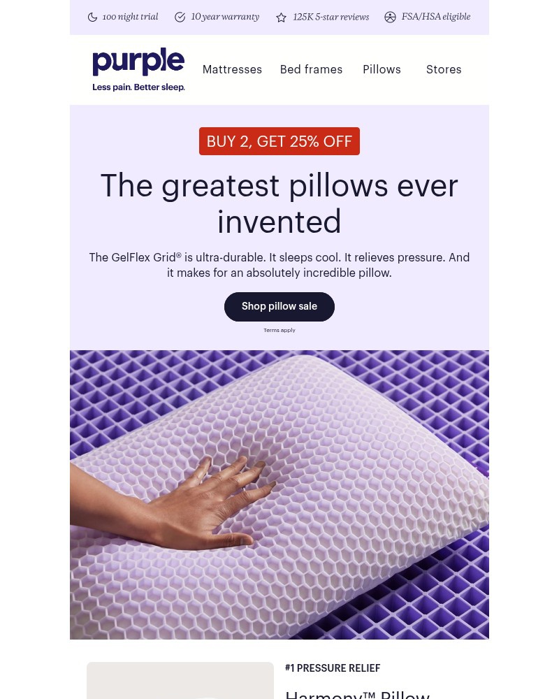 Screenshot of email with subject /media/emails/buy-2-get-25-off-gelflex-grid-pillows-620ca8-cropped-af1e4cf5.jpg