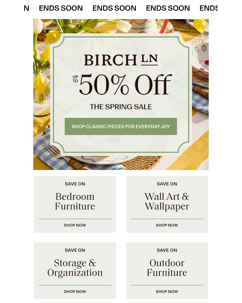 Screenshot of email sent to a Birch Lane Newsletter subscriber