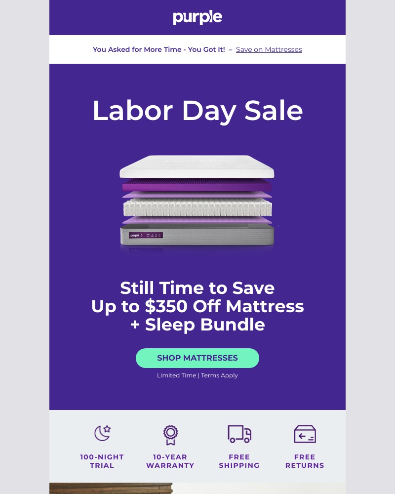 Screenshot of email with subject /media/emails/by-popular-demand-purples-labor-day-sale-is-extended-af5c78-cropped-f3cfbfc2.jpg