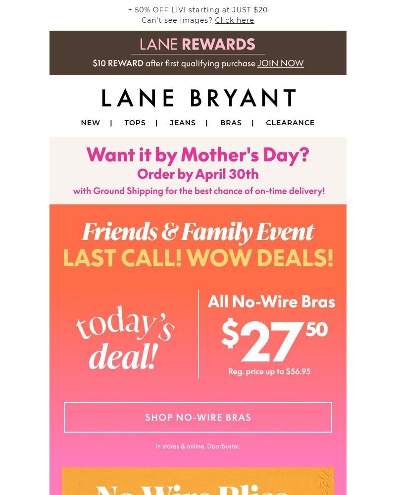 Screenshot of email sent to a Lane Bryant Newsletter subscriber