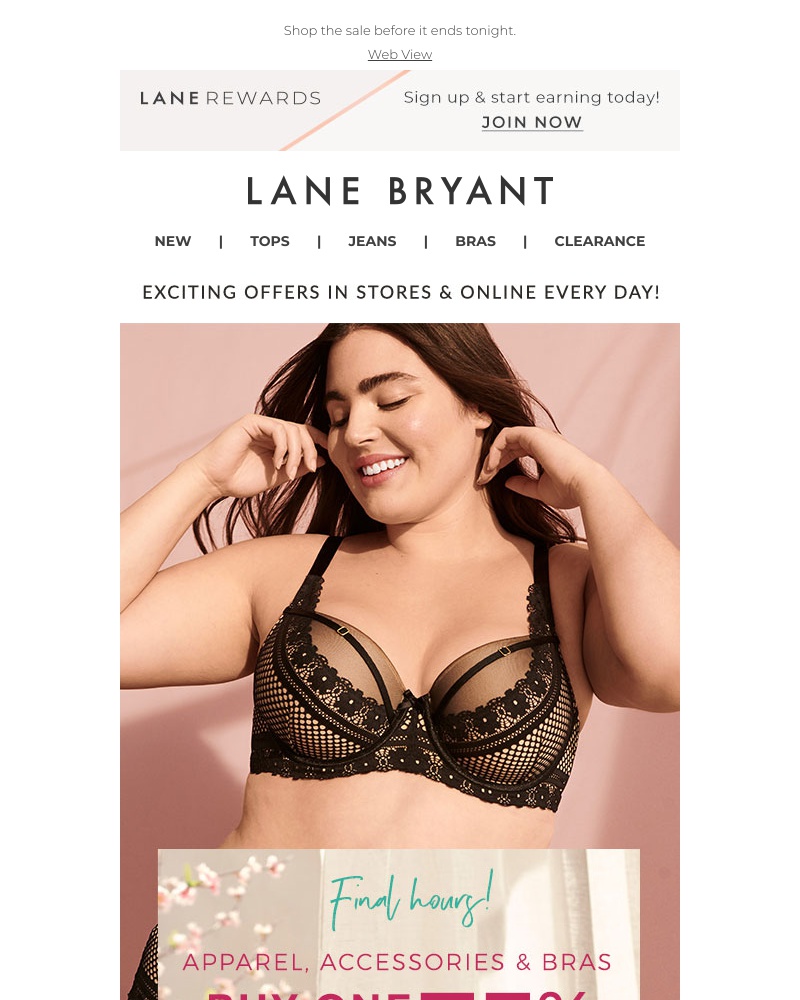 Screenshot of email with subject /media/emails/bye-bye-bogo-75-off-including-bras-8a6606-cropped-9991b71e.jpg