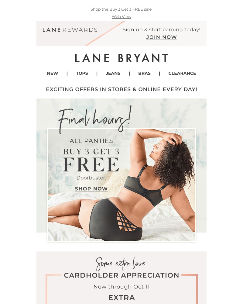 Screenshot of email with subject /media/emails/bye-final-hours-for-3-free-panties-12dff0-cropped-31c37dd5.jpg
