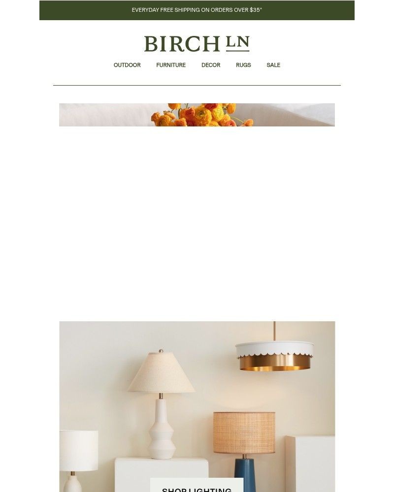 Screenshot of email with subject /media/emails/c-o-a-s-t-a-l-664956-cropped-e89049da.jpg