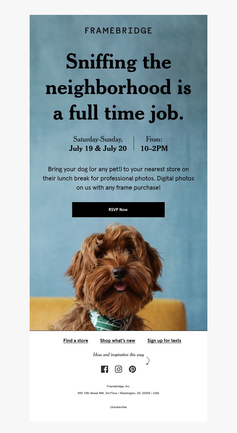 Screenshot of email with subject /media/emails/c011a93b-5835-49fc-8513-d1229de29044.jpg