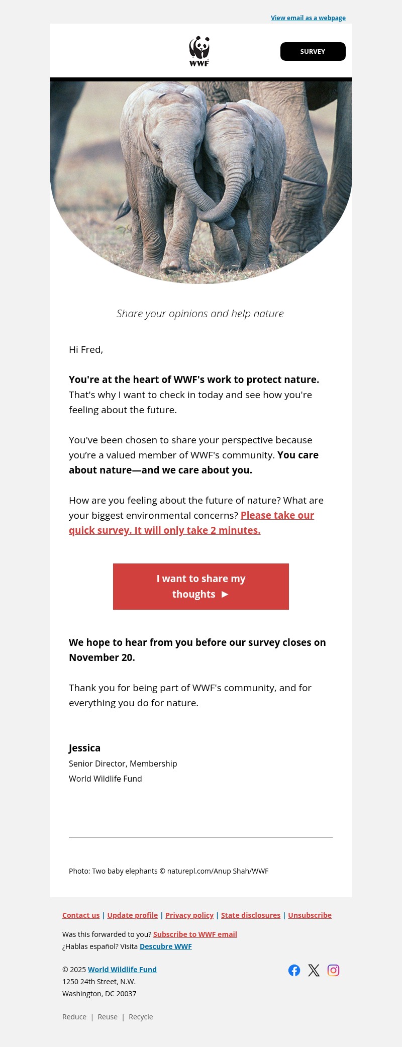 Screenshot of email with subject /media/emails/c0760c7c-5ef6-4a30-bfd0-424eb0ced2a0.jpg