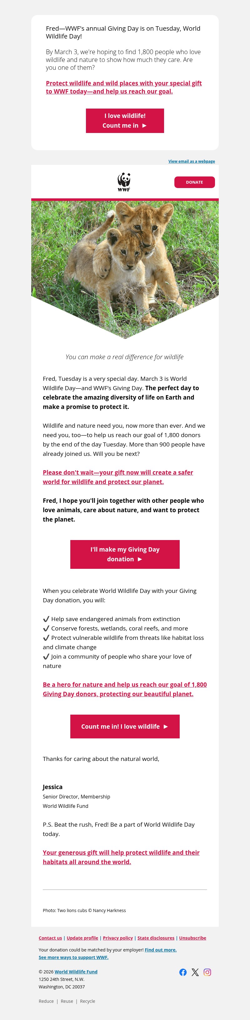 Screenshot of email with subject /media/emails/c077275c-5250-471b-b9ac-98f7e2c44e57.jpg