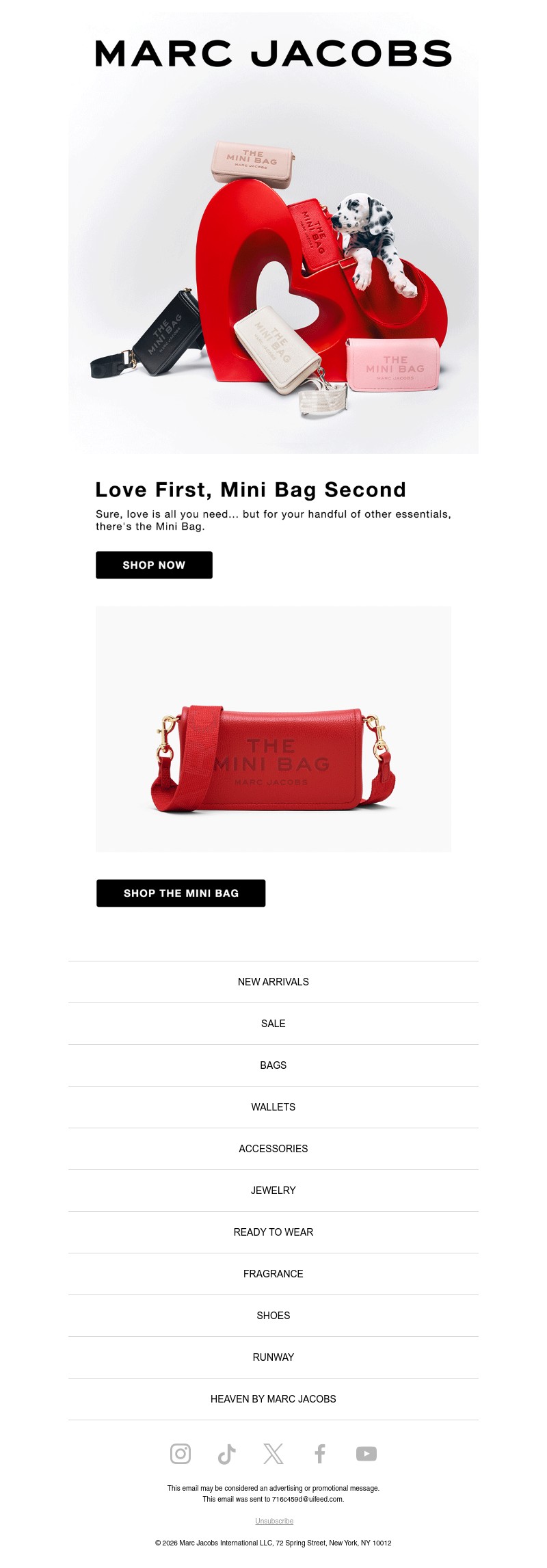 Screenshot of email with subject /media/emails/c0868a43-a66d-45d9-8242-24c9e756d261.jpg