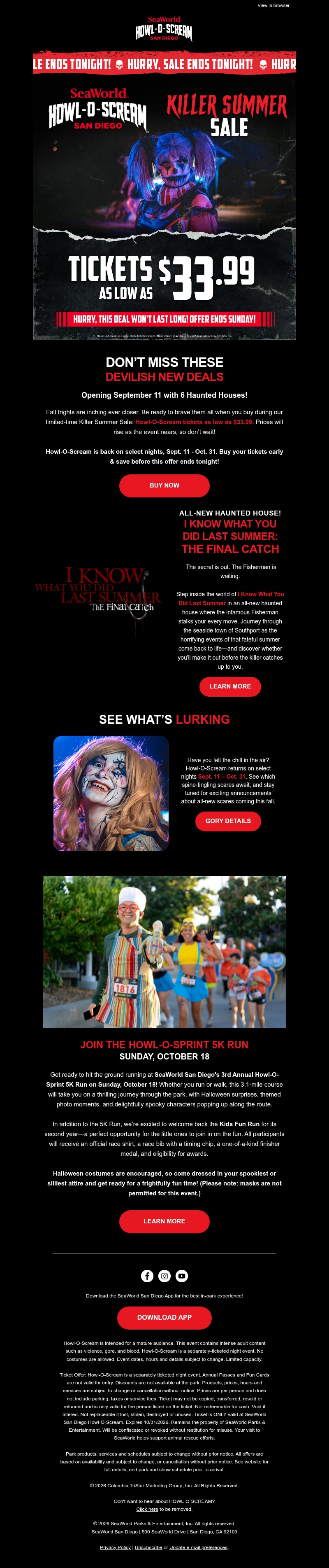 Screenshot of email with subject /media/emails/c18d740e-f774-45fc-90fc-6b6dbdab95f5.jpg