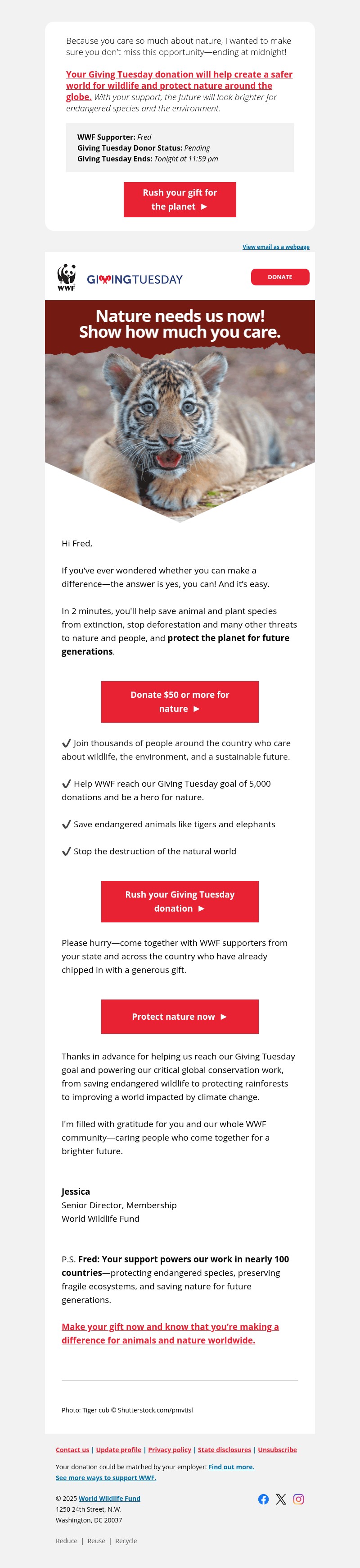 Screenshot of email with subject /media/emails/c19b4097-8283-47b8-8fc3-b3d211e5c8e4.jpg