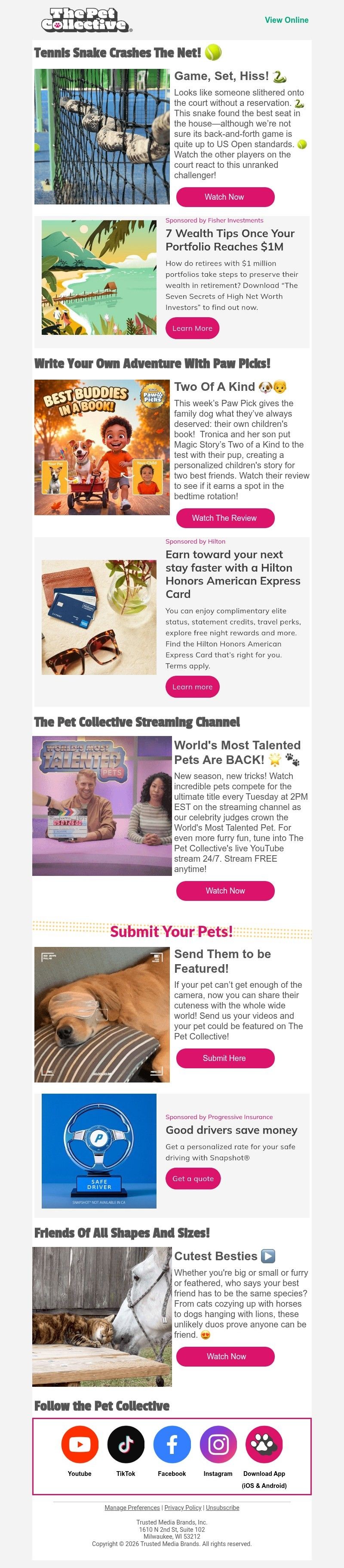 Screenshot of email with subject /media/emails/c26453ac-7376-4f24-ba8f-4f45f180214f.jpg