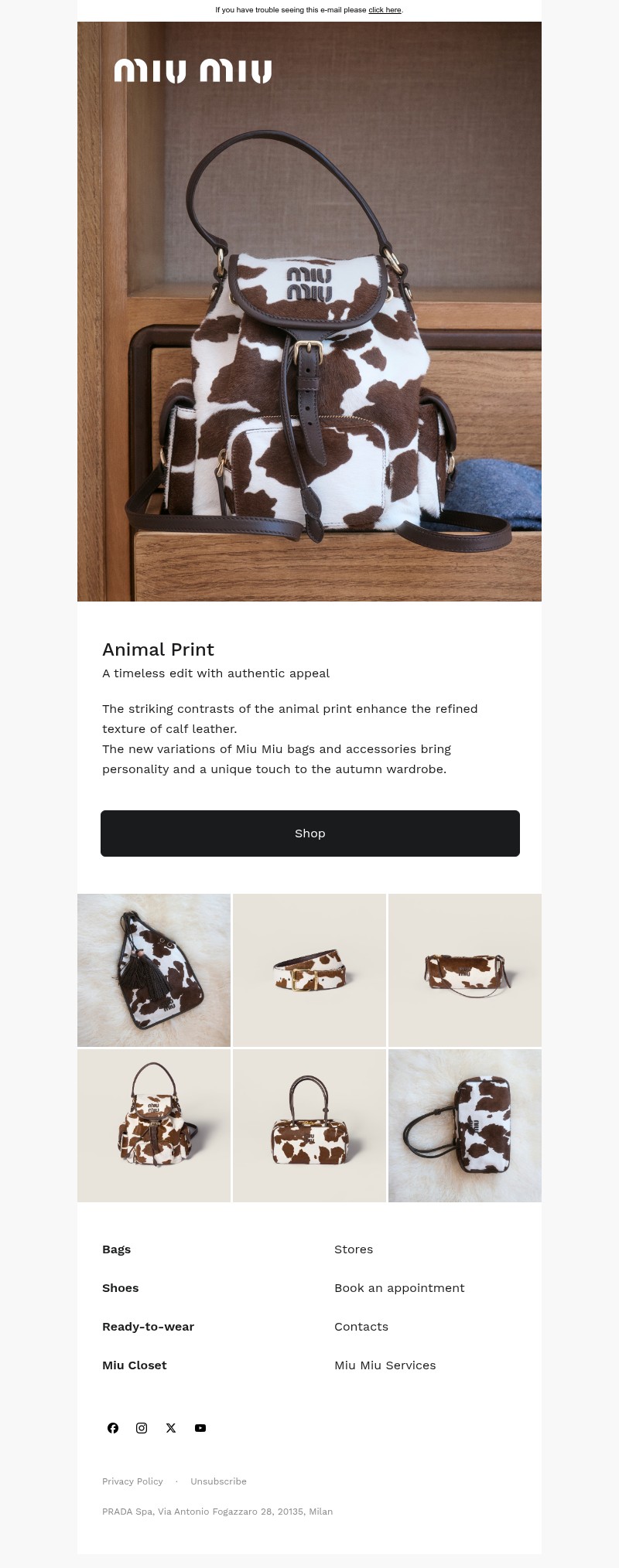 Screenshot of email with subject /media/emails/c2db933b-e1f5-4f92-a0c7-261c86901946.jpg