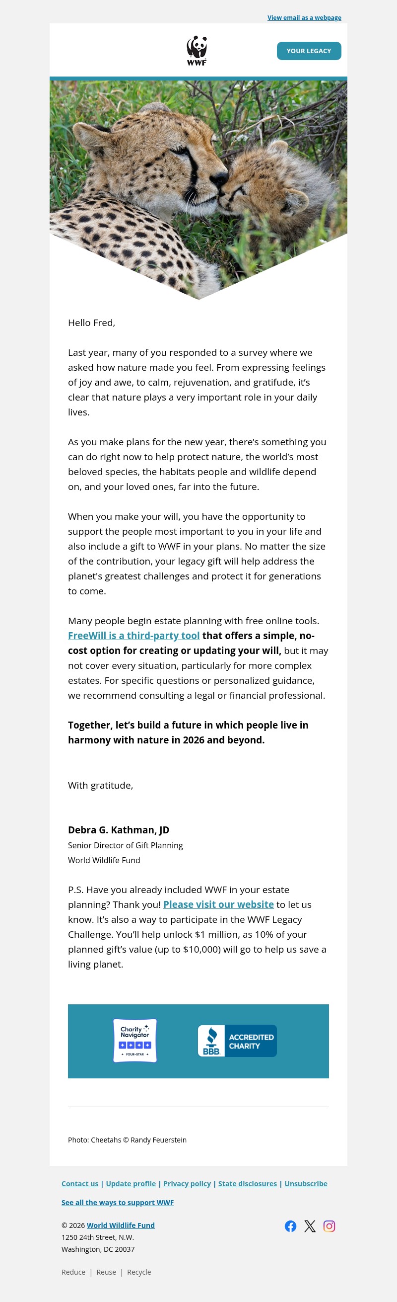 Screenshot of email with subject /media/emails/c300a3a7-07b4-40ee-b639-95c1e591c4e2.jpg