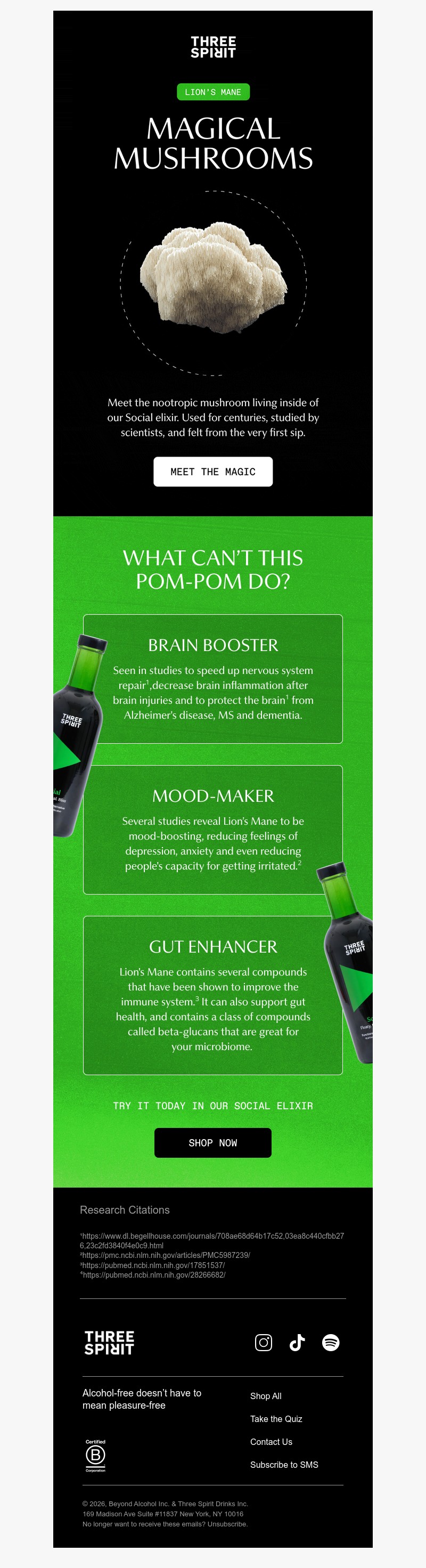 Screenshot of email with subject /media/emails/c31f42db-0291-4f9e-872f-417d4f143f5d.jpg