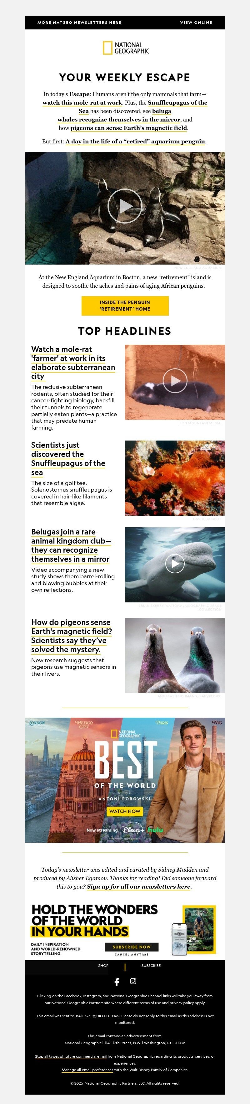 Screenshot of email with subject /media/emails/c3624355-c249-4b8c-9d2d-966c1eb45b3b.jpg