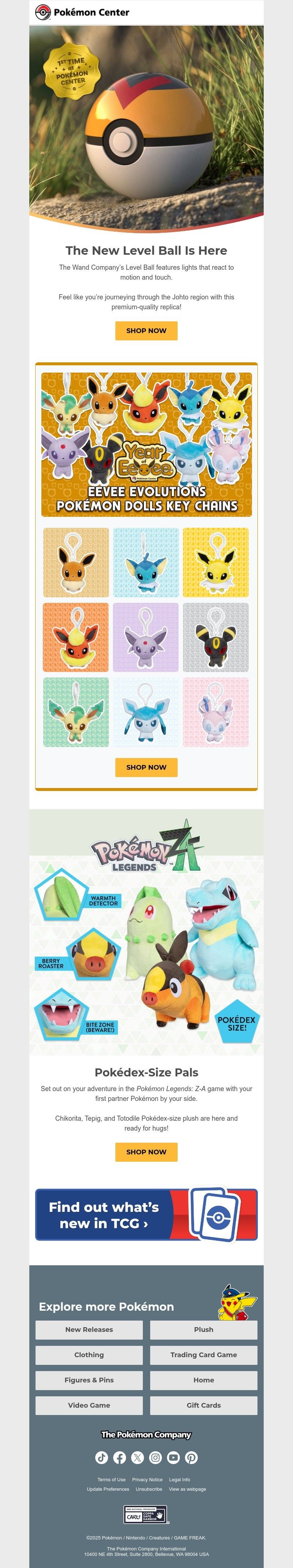 Screenshot of email with subject /media/emails/c391facb-a49d-40d3-b714-26466f9c3a74.jpg