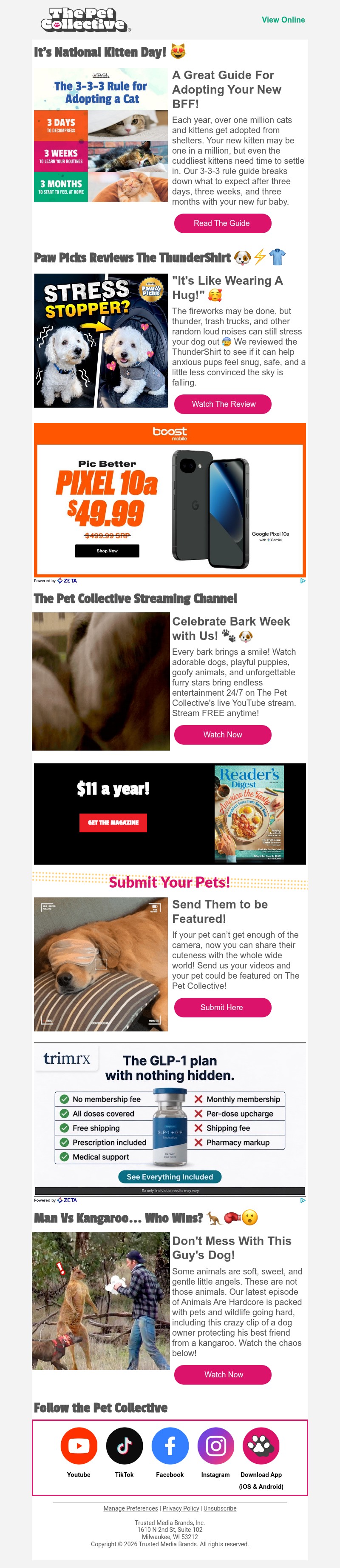 Screenshot of email with subject /media/emails/c3b7b6d7-e1e2-47a1-8e58-f6e4ca5edaeb.jpg