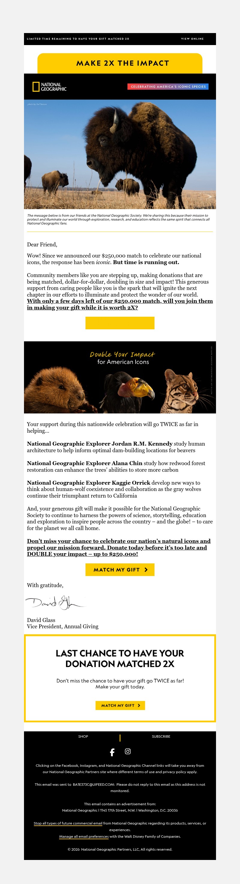 Screenshot of email with subject /media/emails/c3fec7de-be0d-4a8c-9d2d-a6aba6078293.jpg