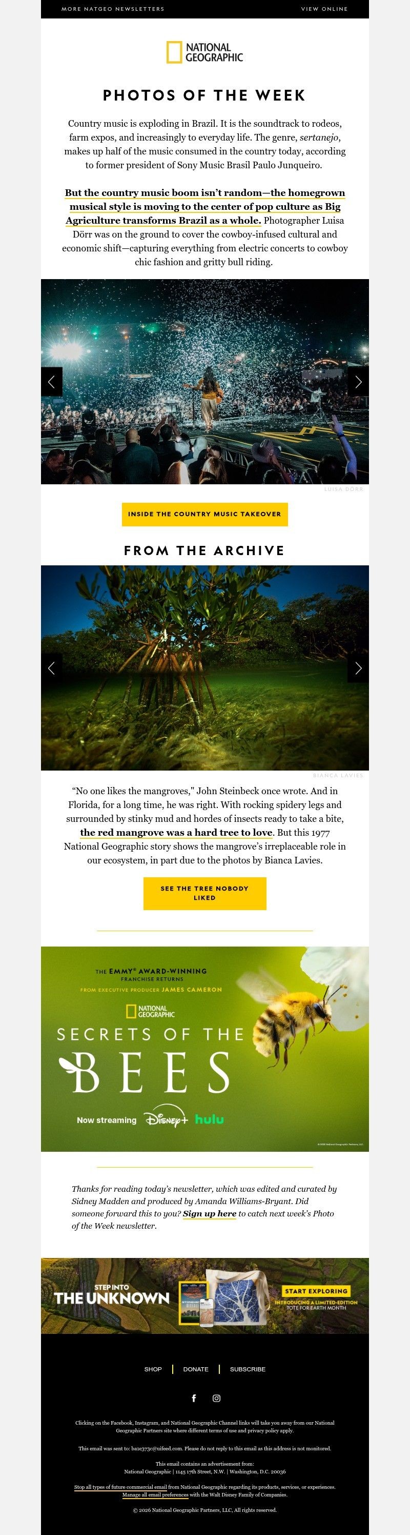 Screenshot of email with subject /media/emails/c4a8d66e-03c6-49a0-acc7-e1b418840f77.jpg