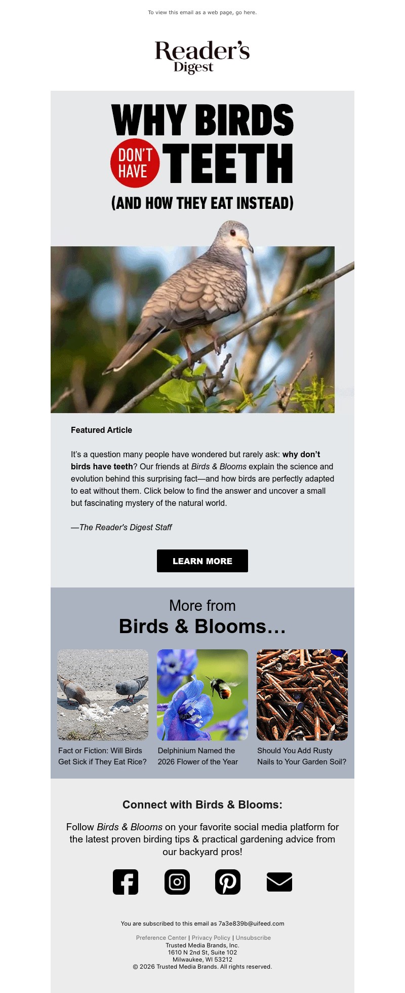 Screenshot of email with subject /media/emails/c4c834e8-cf48-4ebd-a085-a1b0f808a8d7.jpg