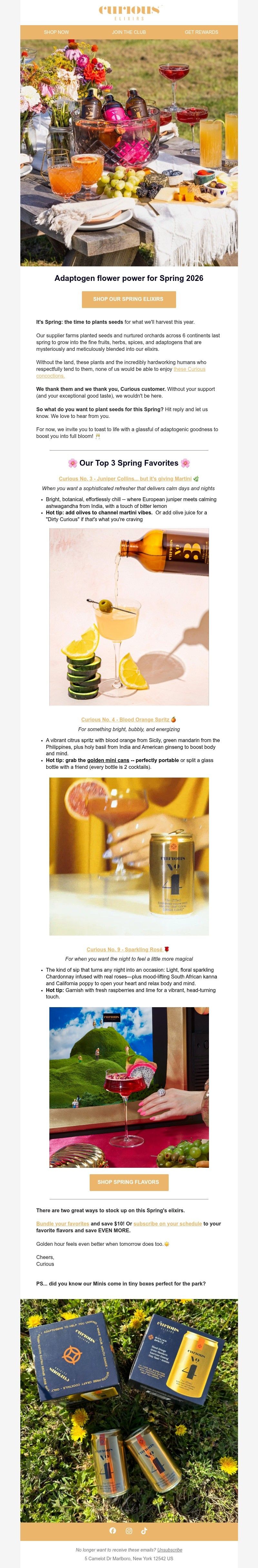 Screenshot of email with subject /media/emails/c4d9400f-4087-4818-a907-18e0f9f2436c.jpg