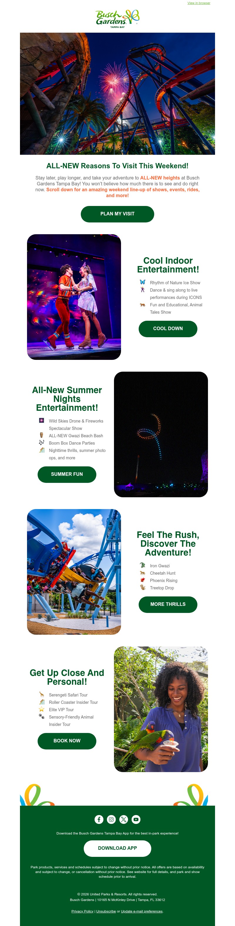 Screenshot of email with subject /media/emails/c676ce10-150c-4e17-abc7-561736ba99ef.jpg