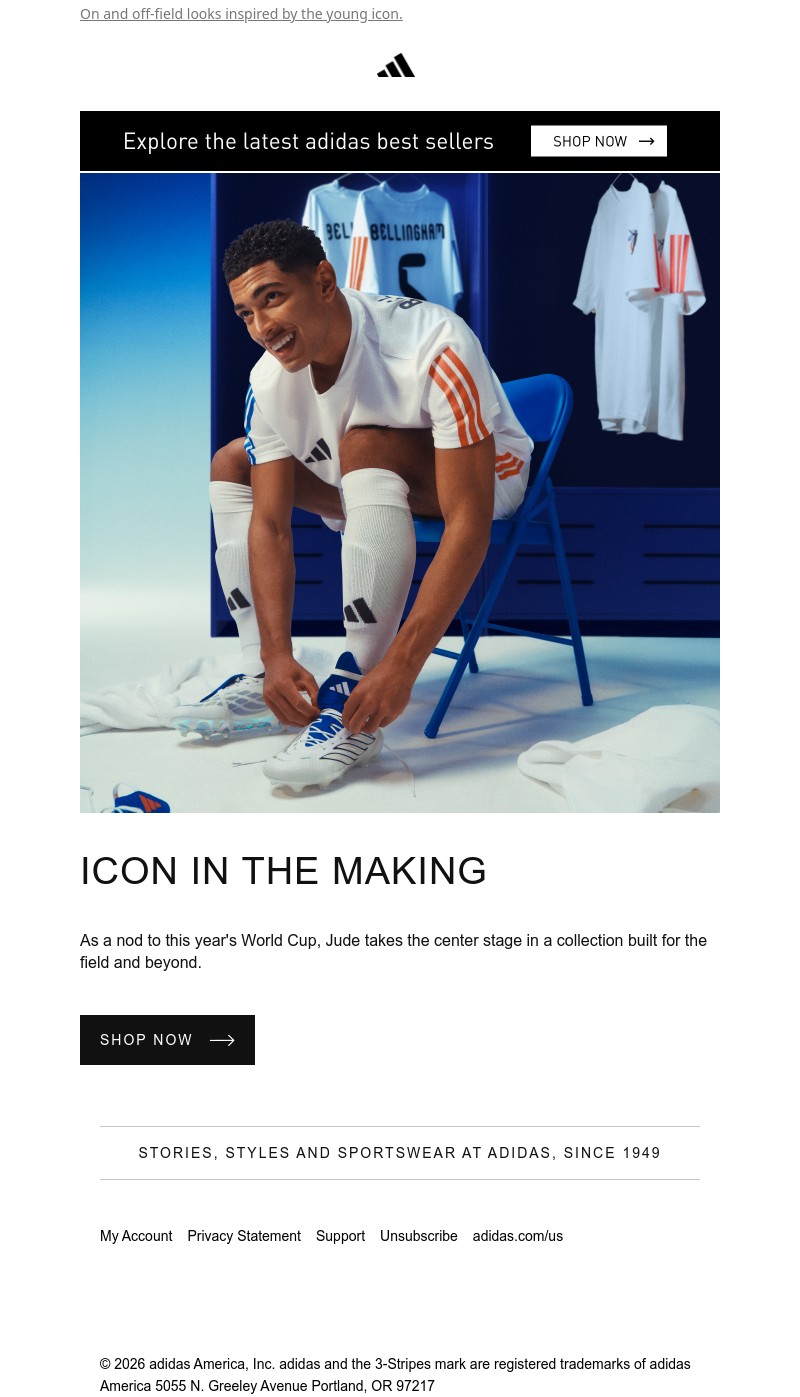 Screenshot of email with subject /media/emails/c85e6b2c-2758-4333-b151-0e9022730cae.jpg