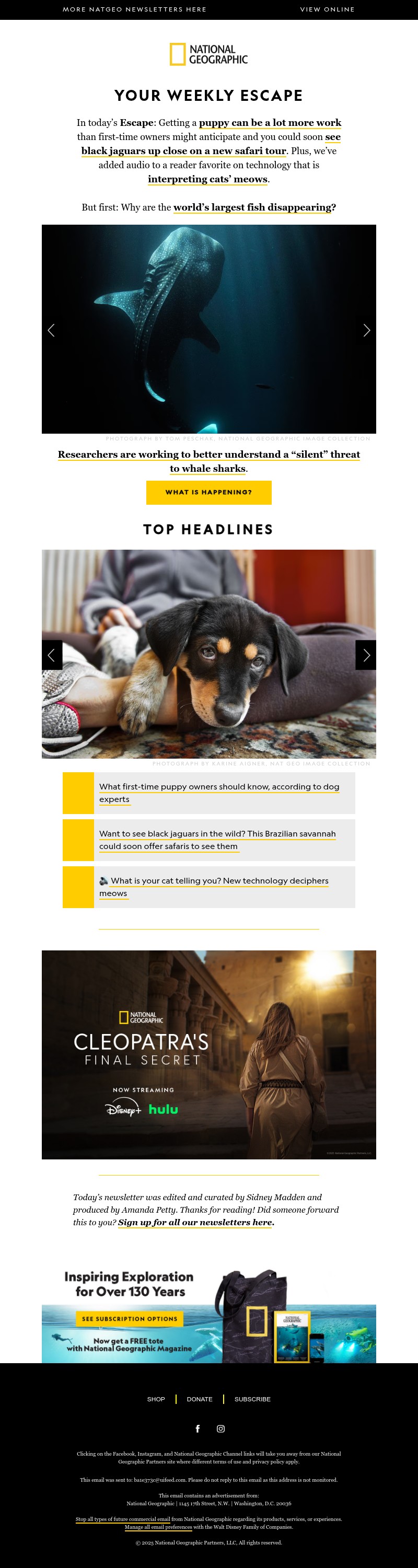 Screenshot of email with subject /media/emails/c8bd3b71-216c-4da2-bb96-ffb98f8fbc98.jpg
