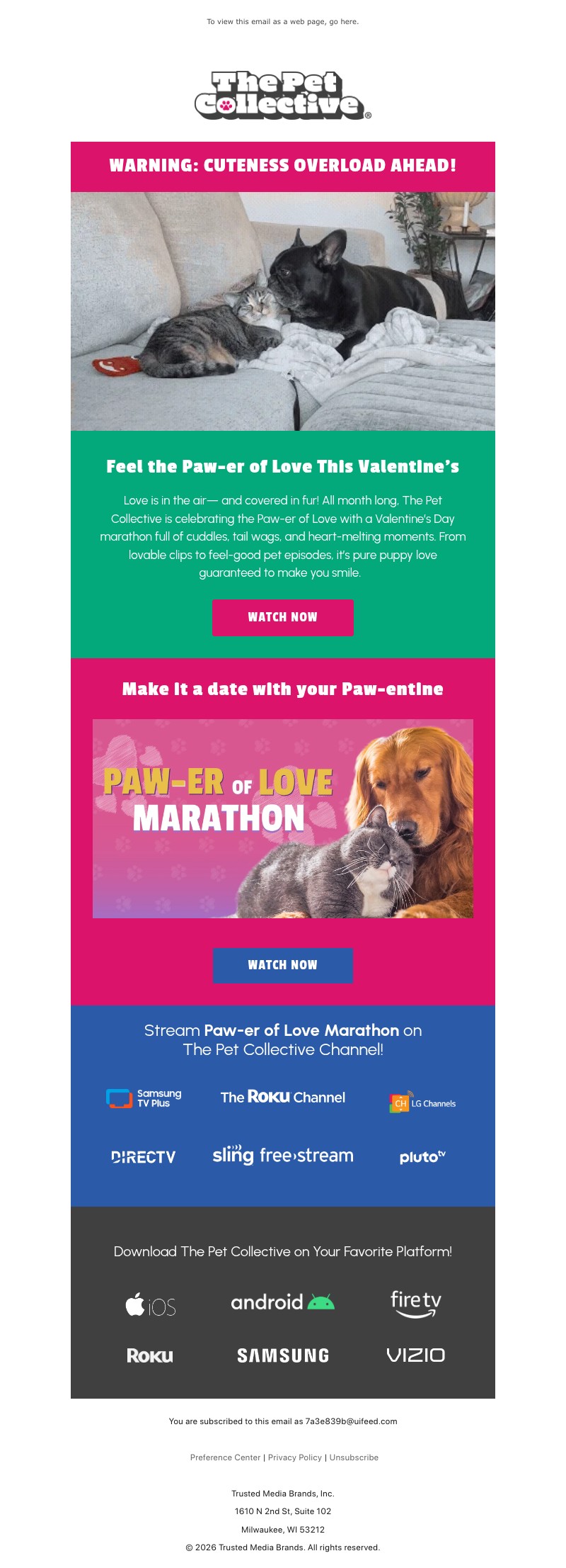 Screenshot of email with subject /media/emails/c94a18fc-9014-4240-84f0-c04fe8cb7f01.jpg