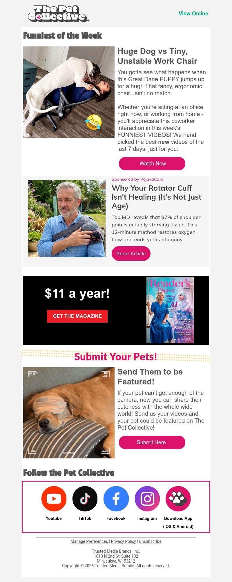 Screenshot of email with subject /media/emails/ca4d91f5-82e8-4aab-bd10-f386491e5df8.jpg