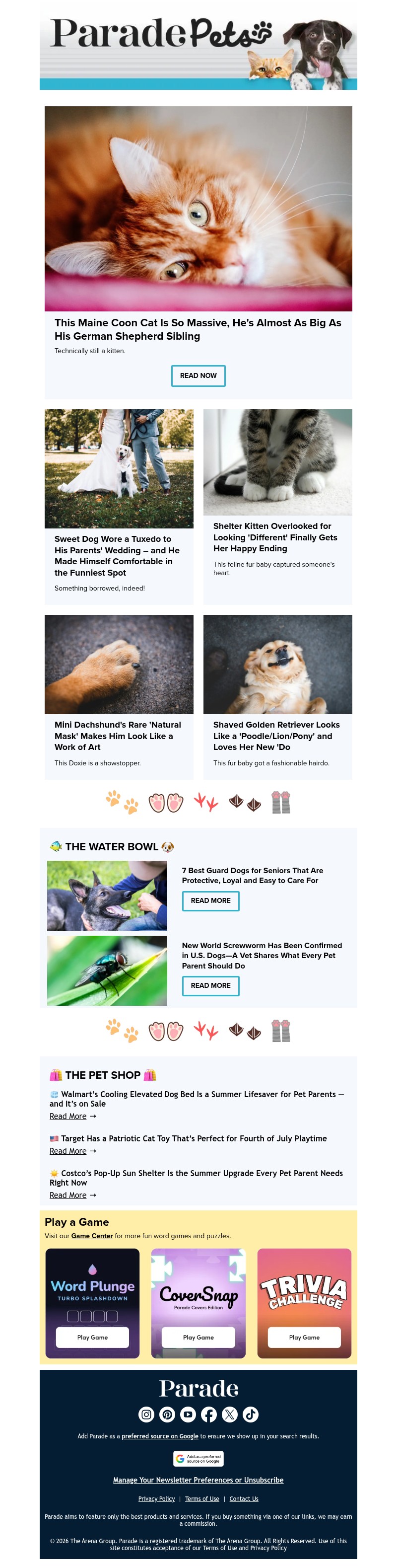 Screenshot of email with subject /media/emails/ca62a786-593c-4901-911c-c9c788cab884.jpg