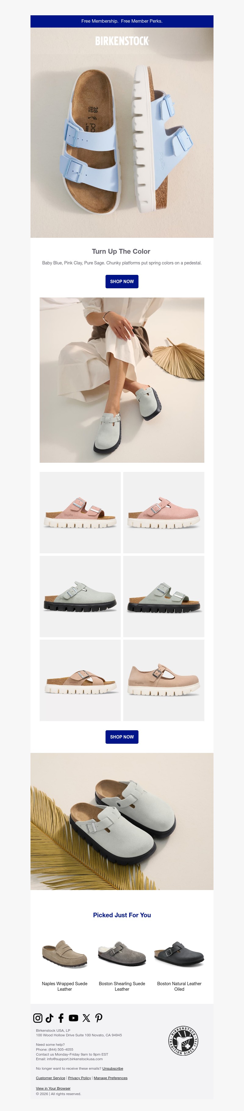 Screenshot of email with subject /media/emails/cae268a1-d2b6-4461-a227-98220e858c5c.jpg