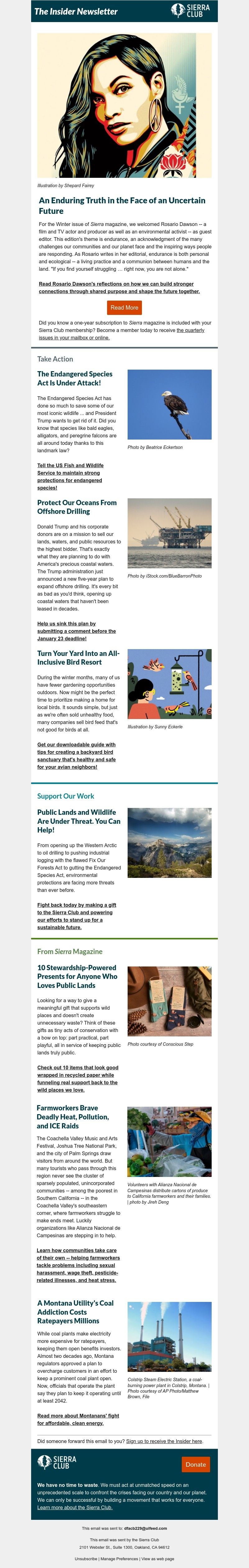 Screenshot of email with subject /media/emails/cafaa68b-675b-4943-8cdd-d82e9a552222.jpg