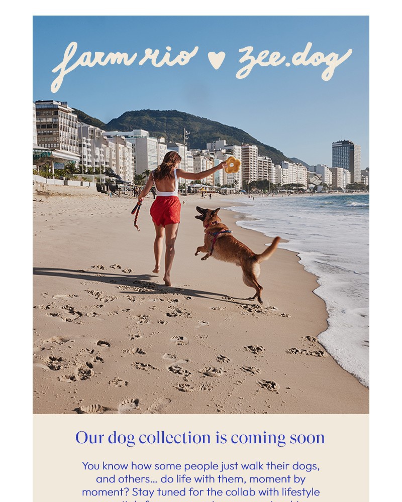 Screenshot of email with subject /media/emails/calling-all-dog-lovers-afce2e-cropped-af3cde33.jpg