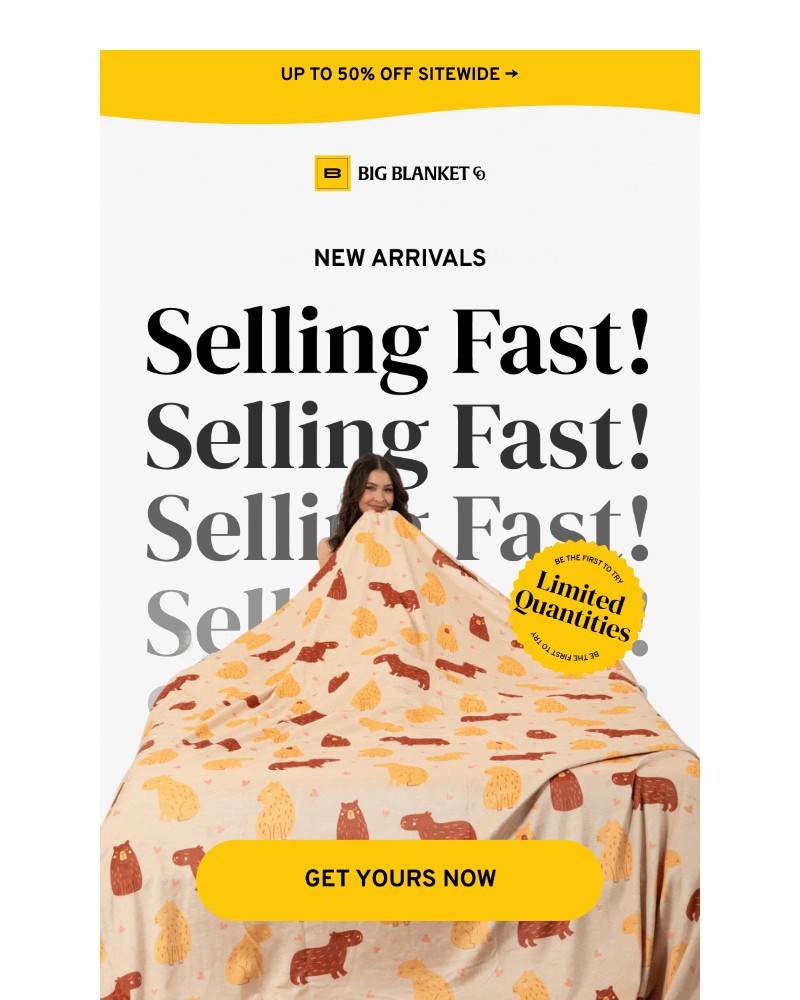 Screenshot of email with subject /media/emails/calm-cozy-capybara-60a599-cropped-f4b3ee1e.jpg