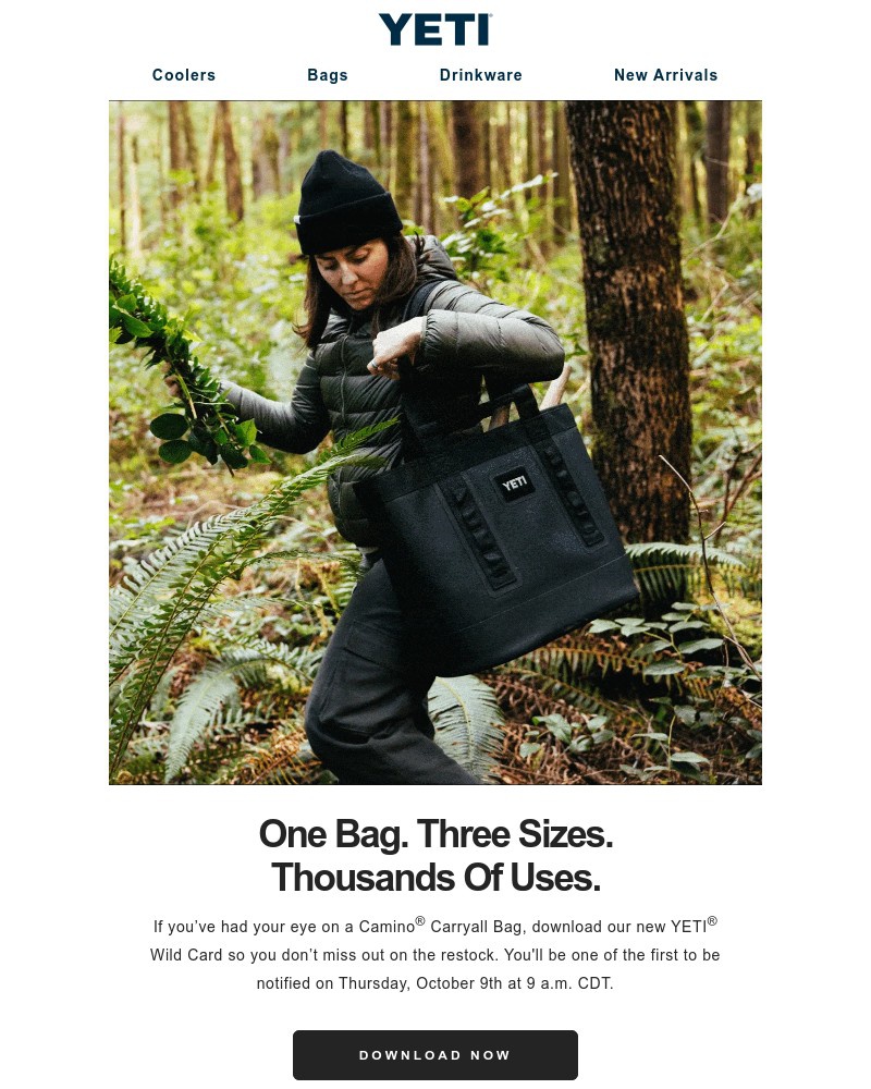 Screenshot of email with subject /media/emails/camino-carryall-restock-coming-soon-d9ecb1-cropped-a7a5d823.jpg