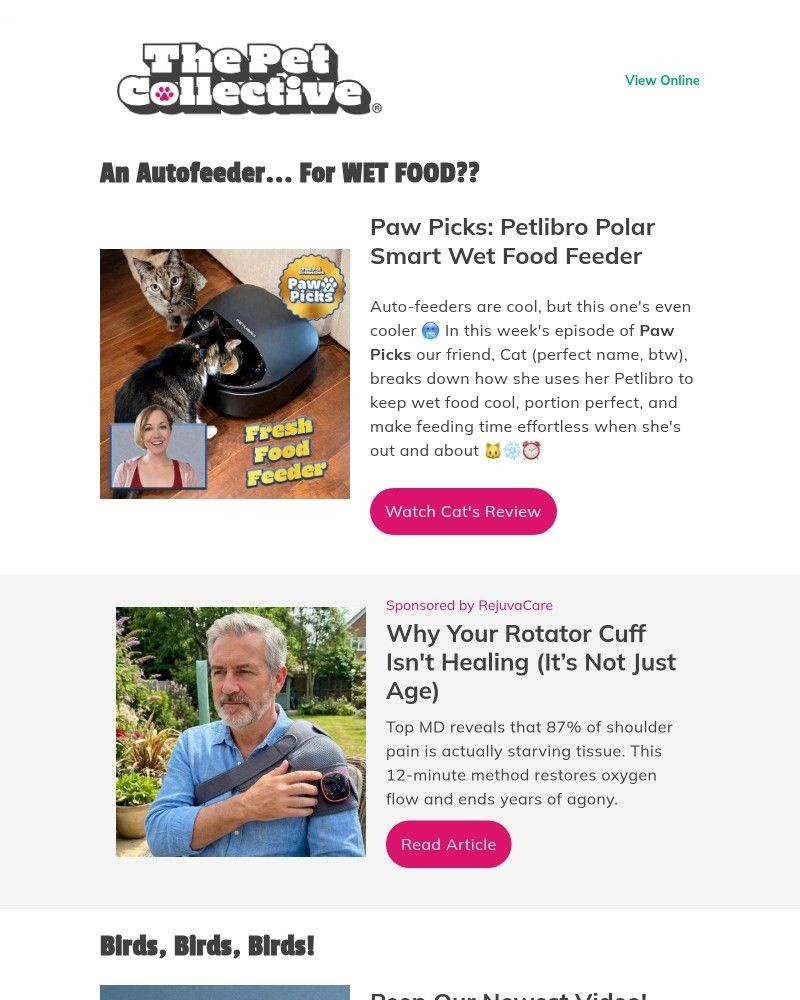 Screenshot of email with subject /media/emails/can-a-wet-food-auto-feeder-really-work-49b13b-cropped-3da9962f.jpg