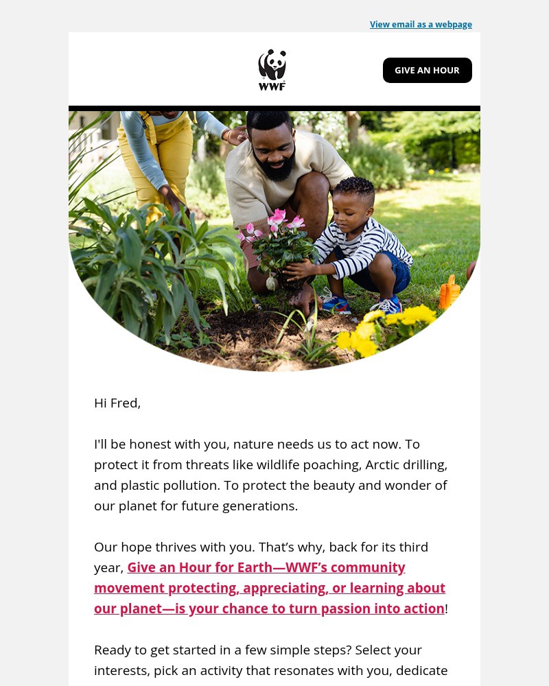 Screenshot of email with subject /media/emails/can-i-be-honest-a82de5-cropped-319547d3.jpg