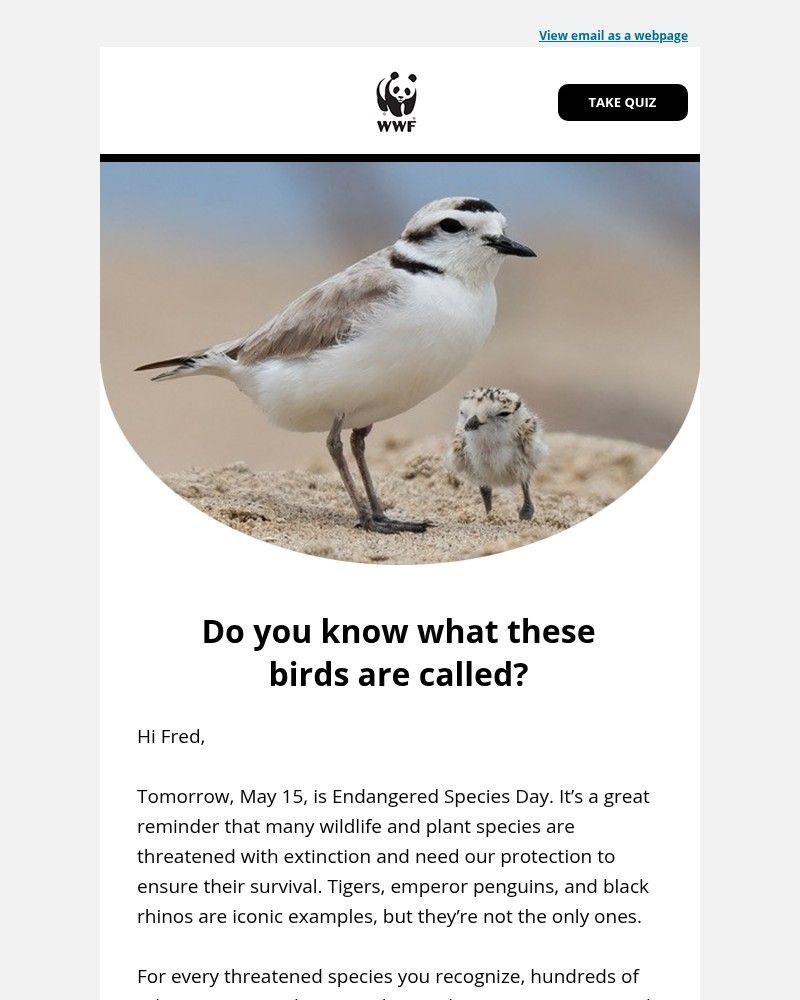Screenshot of email with subject /media/emails/can-you-get-all-5-questions-right-bbe2ed-cropped-b6bd8bda.jpg
