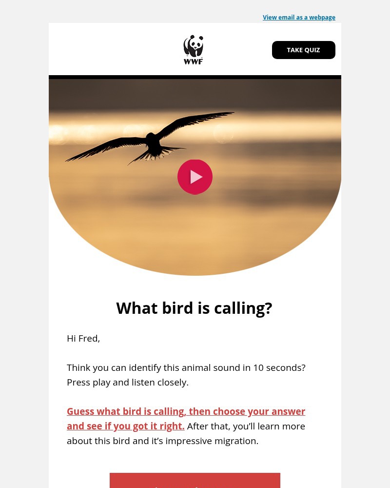 Screenshot of email with subject /media/emails/can-you-identify-this-bird-call-in-10-seconds-220cd1-cropped-ee7a2661.jpg