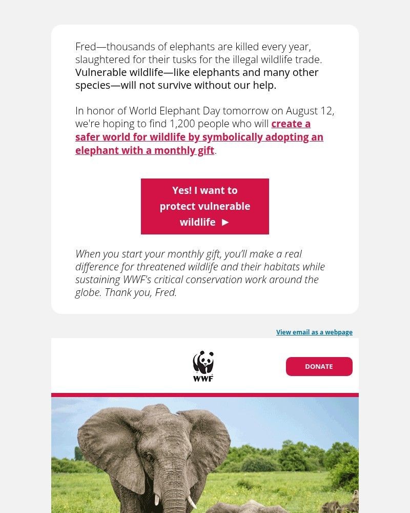 Screenshot of email with subject /media/emails/can-you-imagine-a-world-without-elephants-4748a3-cropped-75b9ee5a.jpg