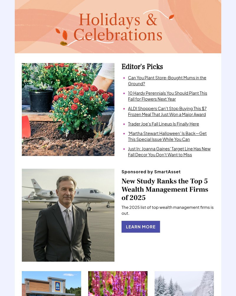 Screenshot of email with subject /media/emails/can-you-plant-store-bought-mums-in-the-ground-29f83e-cropped-ace917e0.jpg