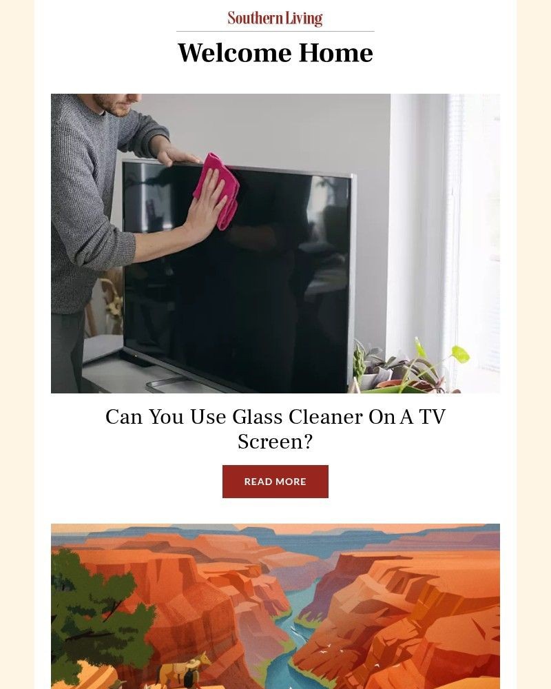 Screenshot of email with subject /media/emails/can-you-use-glass-cleaner-on-a-tv-screen-50d794-cropped-20bd8f39.jpg