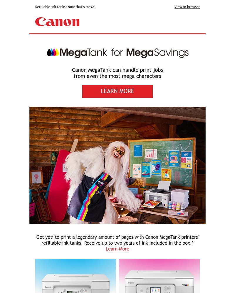 Screenshot of email sent to a Canon Newsletter subscriber