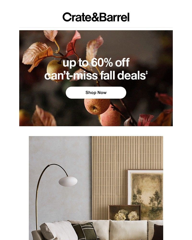Screenshot of email with subject /media/emails/cant-miss-fall-deals-start-today-shop-up-to-60-off-e90b27-cropped-6389c411.jpg