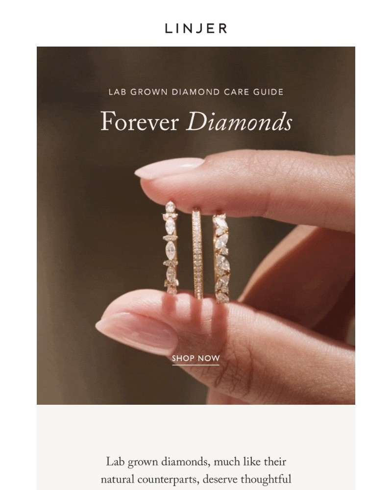 Screenshot of email sent to a Linjer Newsletter subscriber