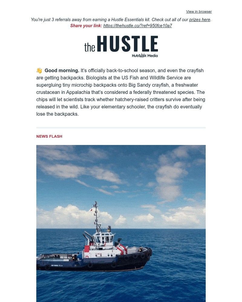Screenshot of email sent to a The Hustle Newsletter subscriber