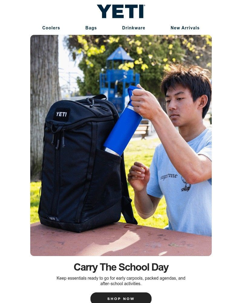 Screenshot of email with subject /media/emails/carry-the-school-year-a6b8ba-cropped-c35e0e1d.jpg