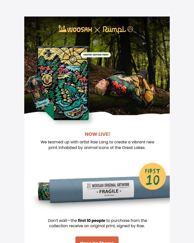 Screenshot of email with subject /media/emails/carved-from-wood-crafted-for-wild-8e8636-cropped-12c1c00e.jpg